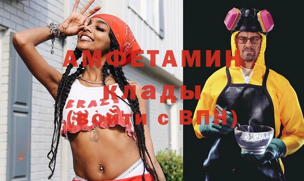 шишки Абаза