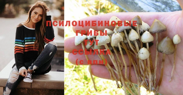 spice Абдулино