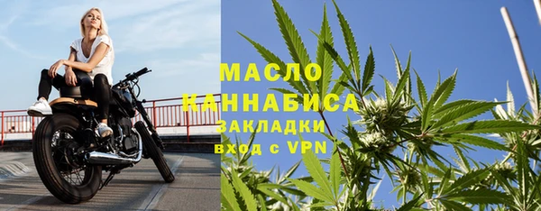 шишки Абаза