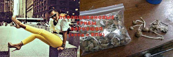 spice Абдулино