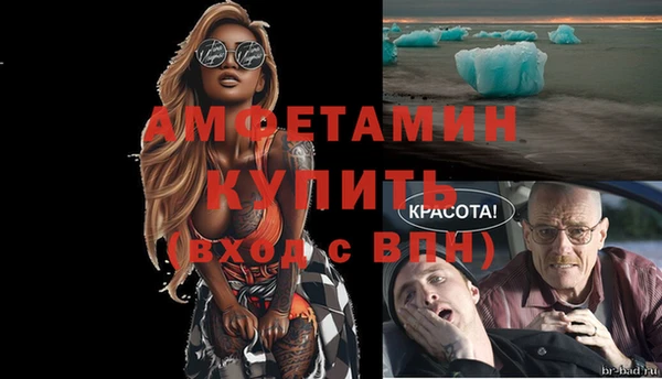 шишки Абаза