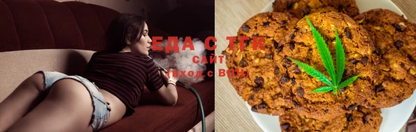 шишки Абаза
