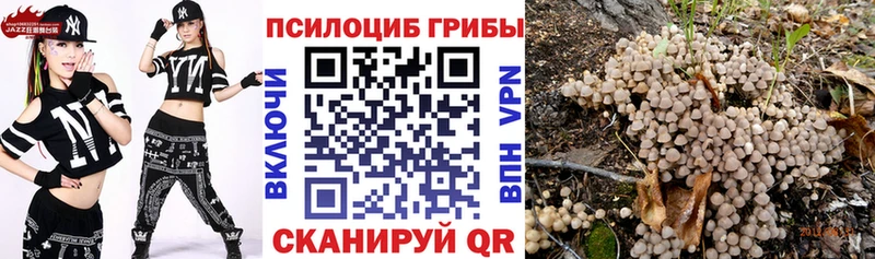 Псилоцибиновые грибы прущие грибы  наркота  гидра онион  Ухта 